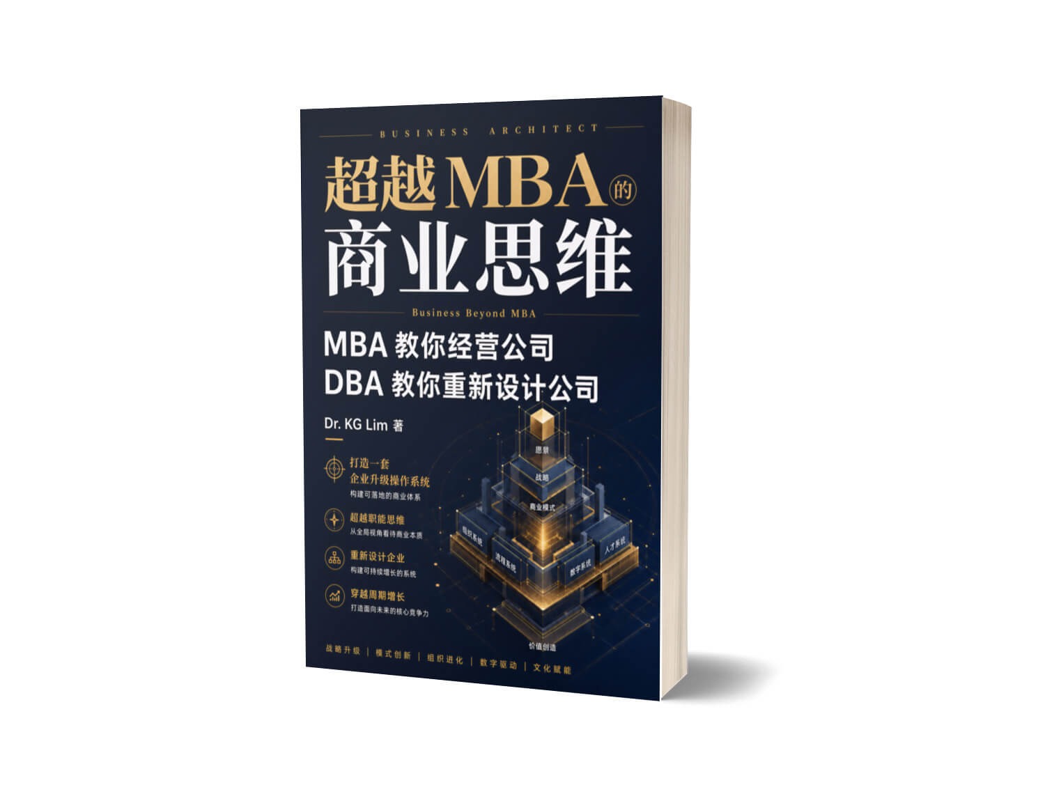 超越 MBA 的 商业思维 —— MBA 教你经营公司，DBA 教你重新设计公司。
